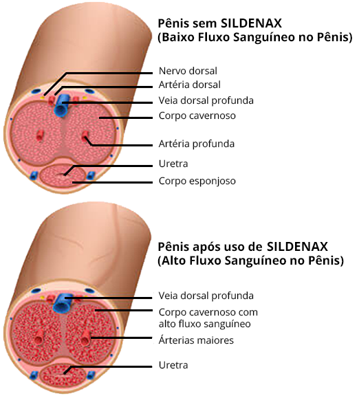 SILDENAX FUNCIONA MESMO